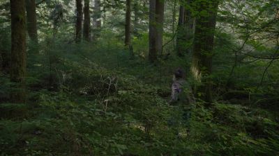 [phone beeping] - Twin Peaks