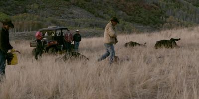 [phone buzzes] - Yellowstone