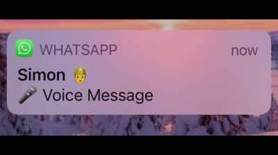 [phone chimes] - The Tinder Swindler