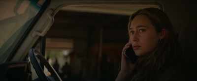 [phone dials out] - The Lost Flowers of Alice Hart