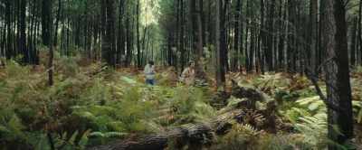 - (phone ringing)
- (François shushes) - The Animal Kingdom