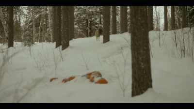 [Phone Ringing] - Cardinal