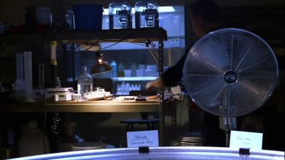        ( phone ringing ) - CSI: Crime Scene Investigation