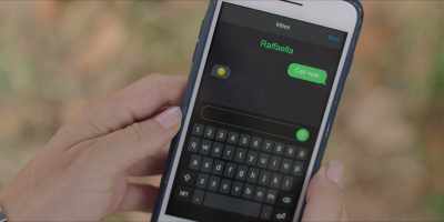 [phone ringing] - Signora Volpe