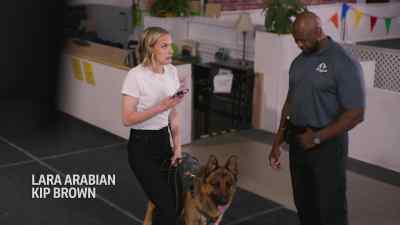 [phone rings] - Jazz Ramsey: A K-9 Mystery