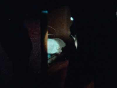 "Photos were seized - Fabian: Going to the Dogs