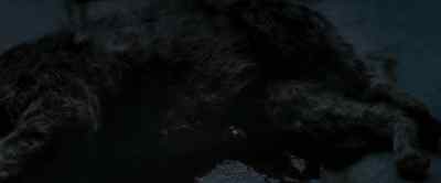 Phylum Chordata... - The Raven
