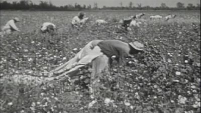 Physical slavery requires people to be housed and fed - Zeitgeist: Addendum