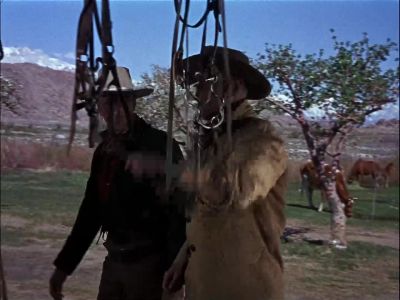 Pick yourself a horse and use this outfit - Springfield Rifle