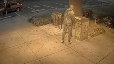 Pick them up, stuff them into the box. - 2000 Mules
