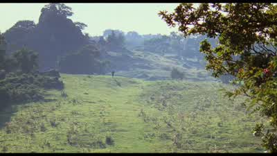 Inconceivable! - The Princess Bride