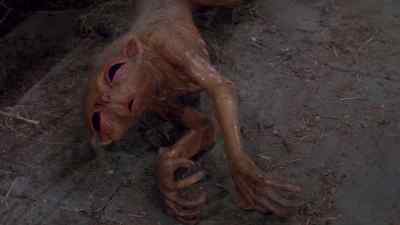 Pick her up. - Nightbreed