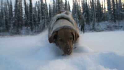 Picking up this
skill, you know,
I got many more to learn. - Life Below Zero: Next Generation