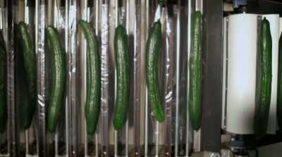         Pieces of plastic
     that will get used once - The Story of Plastic