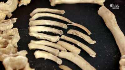 PIERS MITCHELL:
The Black Death is spread - Curse of the Ancients with Alice Roberts