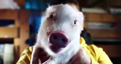 [pig squealing] - #RealityHigh