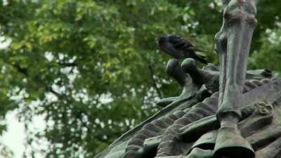(pigeon cooing) - One October