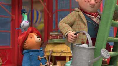 Pigeons can live
in many different places. - The Adventures of Paddington
