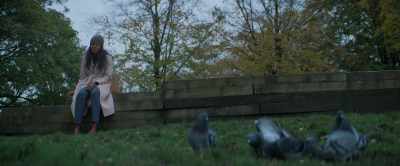[PIGEONS COOING] - The Wasp