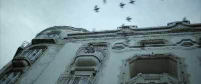 "Pigeons who were missed or merely winged - The Pigeon Tunnel