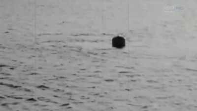 Piglet survived the launching. - Houston, We Have a Problem!