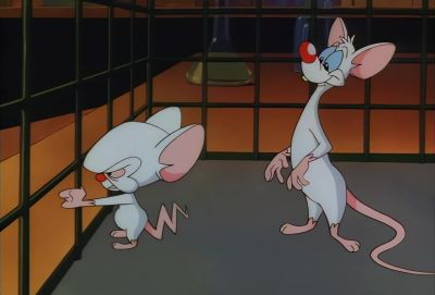 Pinky are you pondering what I'm pondering - Animaniacs