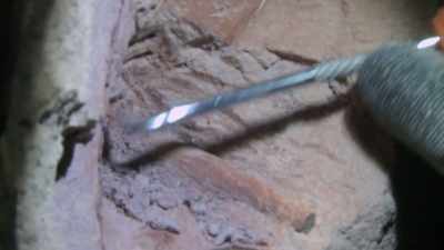 Pipe opal can be worth
$1,500 a carat. - Outback Opal Hunters