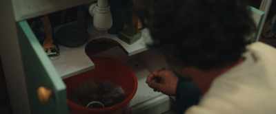 - (pipe rattling)
- (water trickling) - The Animal Kingdom
