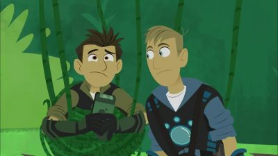 Piranha! - Wild Kratts