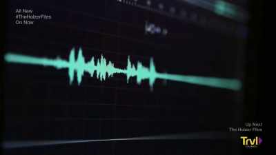 Pittman:
 It's like straight electricity - The Holzer Files
