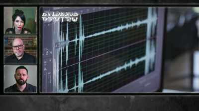 Pittman: This first piece
of evidence - The Holzer Files