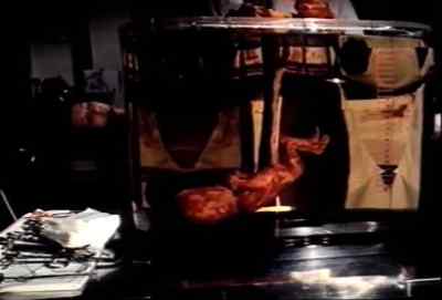 Pituitary gland extract. - Embryo