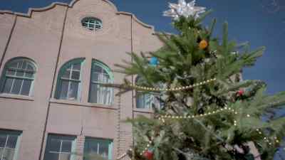 Place the star on
the tree with you, - Letters at Christmas