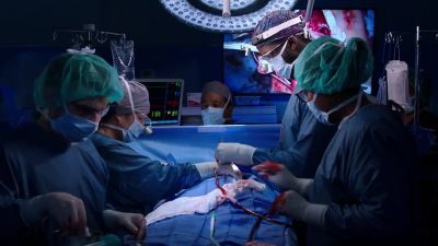 Placing a 5mm fenestration - Chicago Med
