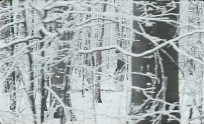 - Plan? What plan?
- What are you gonna do? - Winter Brothers