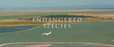 [plane engine droning] - Endangered Species