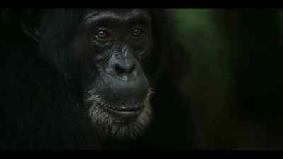 Planning. - Chimp Empire