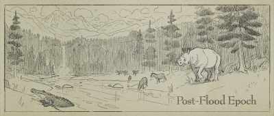 Plants and animals have to spread around the Earth. - Is Genesis History?