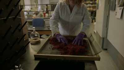 Plants make these compounds
to protect themselves. - Origins: The Journey of Humankind