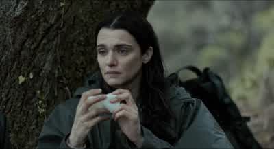 Plastic cup. - The Lobster