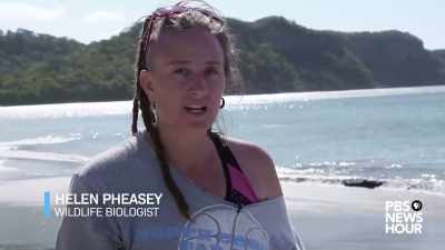Plastic gets into
the marine environment, - Plastic Earth
