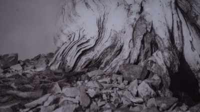 Platinum printing is the most
archival process that there is, - Trees and Other Entanglements