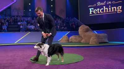 -Play some ball. Indy, come here.
-But then that student realized - 2022 American Rescue Dog Show