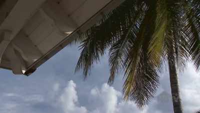 (playful music)
♪ - Island of Bryan