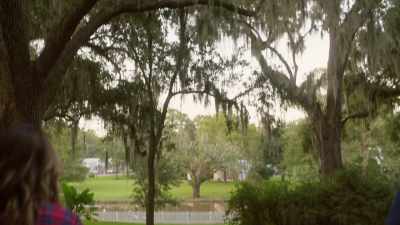[playing Cajun fiddle] - Christmas in Louisiana