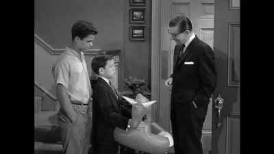 Playing horsey, sonny? - Leave It to Beaver