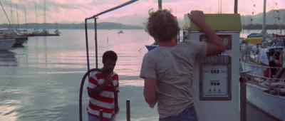- Please, my cat, where is she? - The Dove