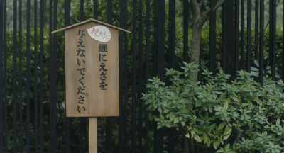 "PLEASE" DO NOT FEED THE FISH - Close-Knit
