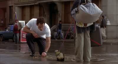 Please don't eat those. - Along Came Polly