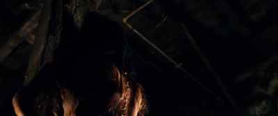 Please, don't hurt me. - Evil Dead